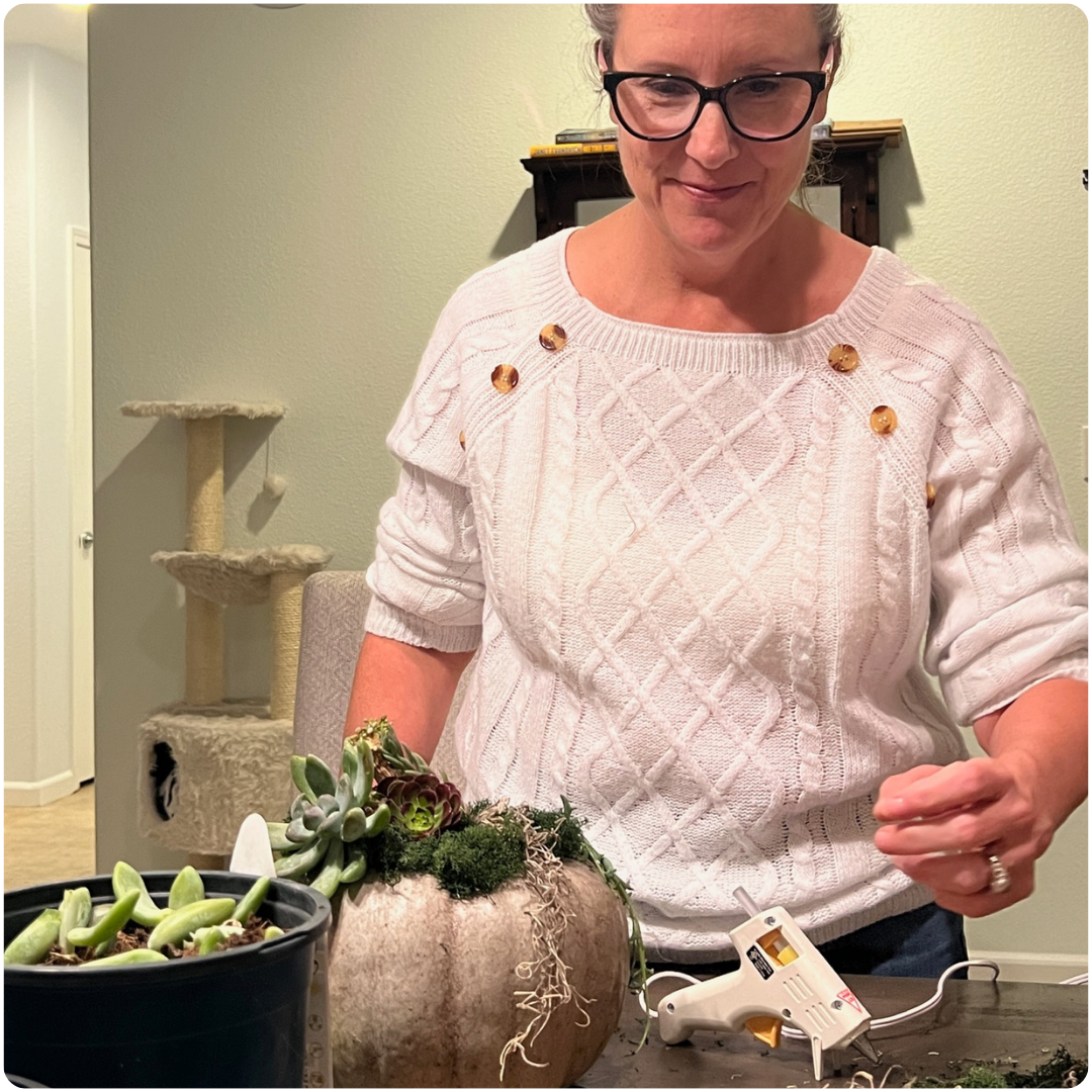 Untitled design – 2024-02-26T172038.312